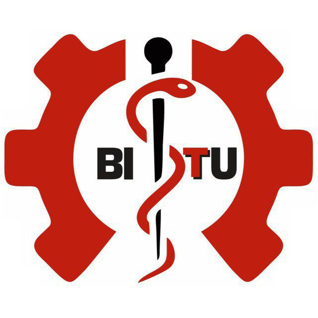 Logotip BITI